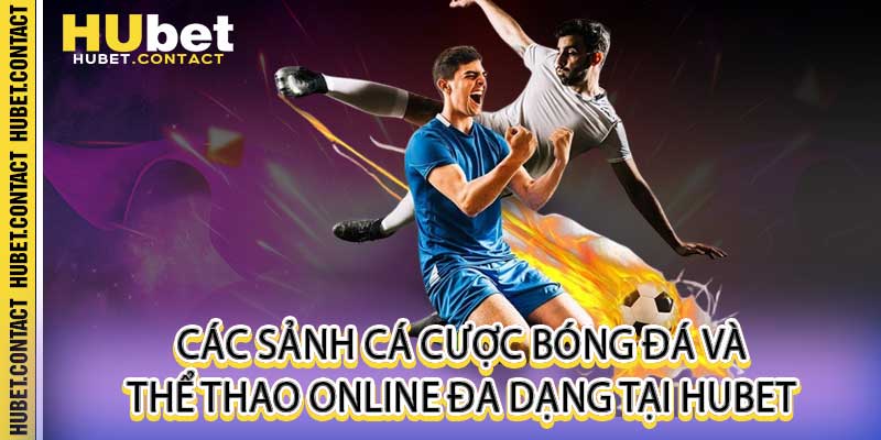 Thể Thao Online Hubet - Sảnh Cá Cược Bóng Đá Uy Tín - Na77