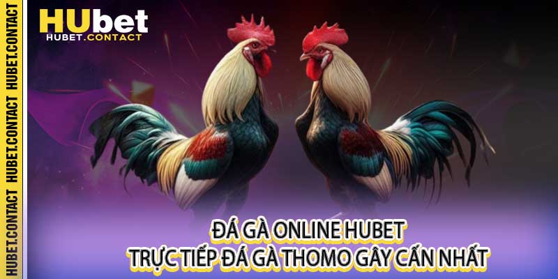 Đá Gà Online Hubet - Trực Tiếp Đá Gà Thomo Gây Cấn Nhất - Na77