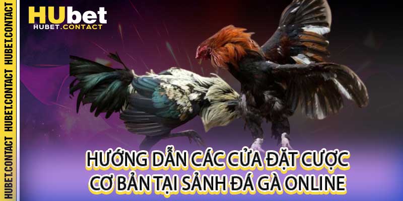 Đá Gà Online Hubet - Trực Tiếp Đá Gà Thomo Gây Cấn Nhất - Na77
