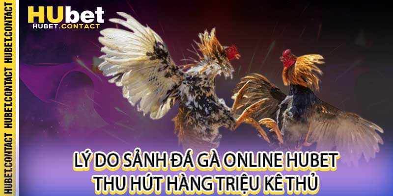 Đá Gà Online Hubet - Trực Tiếp Đá Gà Thomo Gây Cấn Nhất - Na77